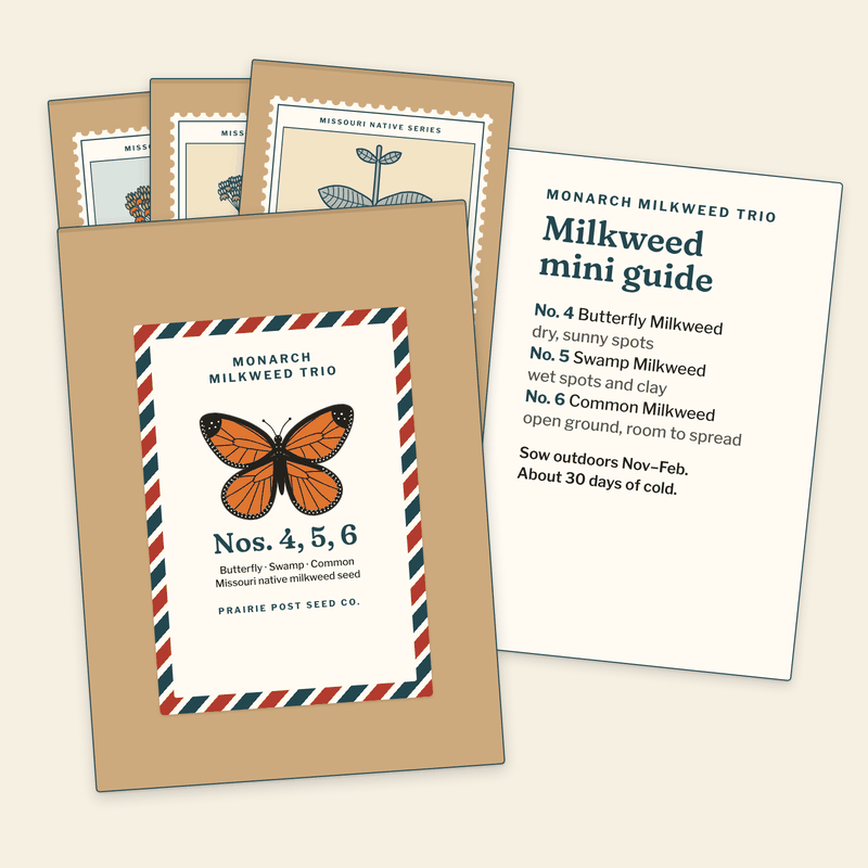 Illustration of the Monarch Milkweed Trio: a kraft postcard sleeve with an airmail-style label and a monarch, three milkweed seed packets (Nos. 4, 5 and 6) and the mini milkweed guide.
