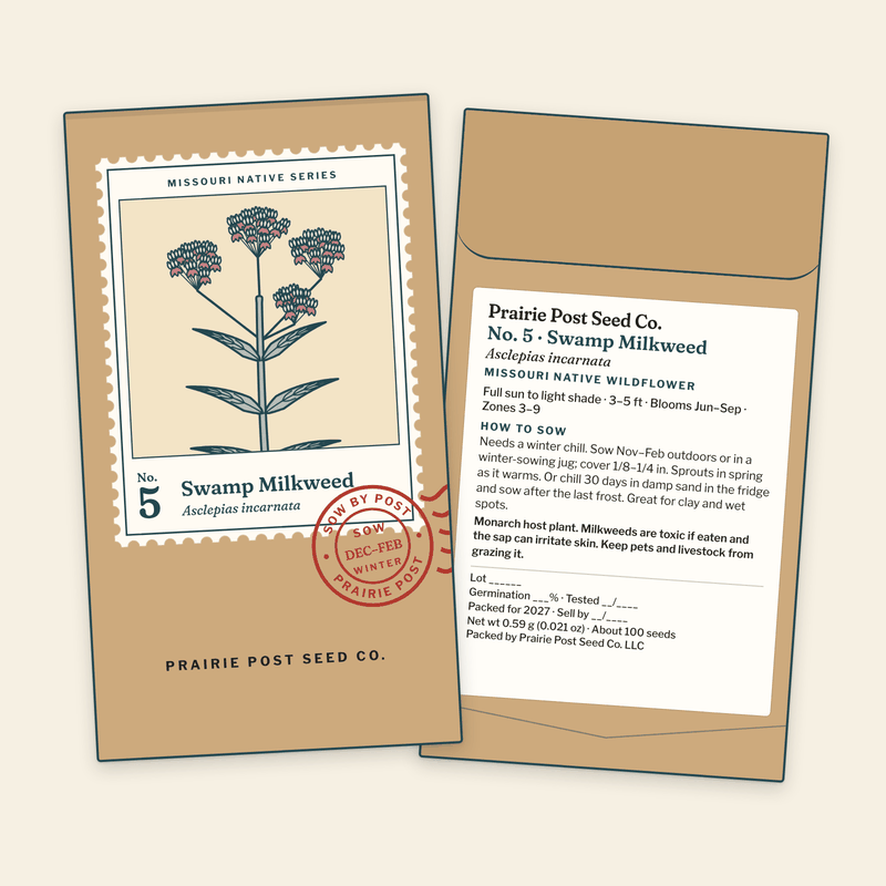 Illustration of the No. 5 Swamp Milkweed seed packet: a kraft envelope with the Missouri Native Series stamp label and a SOW DEC–FEB postmark on the front, and the growing directions and label details on the back.