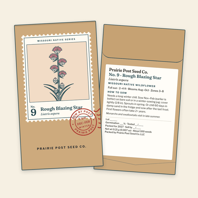 Illustration of the No. 9 Rough Blazing Star seed packet: a kraft envelope with the Missouri Native Series stamp label and a SOW DEC–FEB postmark on the front, and the growing directions and label details on the back.
