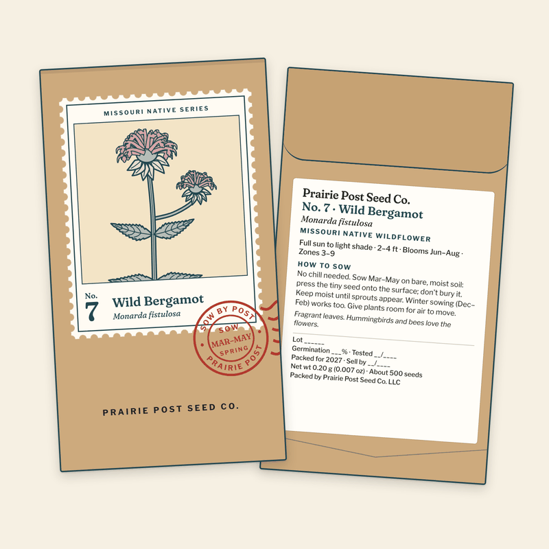 Illustration of the No. 7 Wild Bergamot seed packet: a kraft envelope with the Missouri Native Series stamp label and a SOW MAR–MAY postmark on the front, and the growing directions and label details on the back.